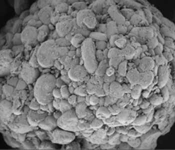 LFP (Lithium Iron Phosphate)