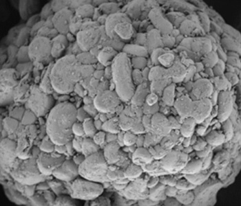 NCM622 (Ternary 622)